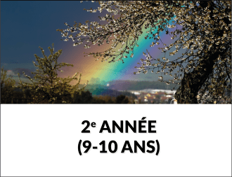 2e année
